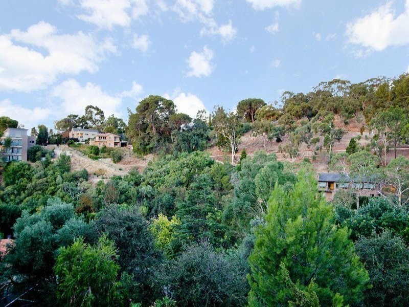 24 Robinson Avenue, Beaumont SA 5066