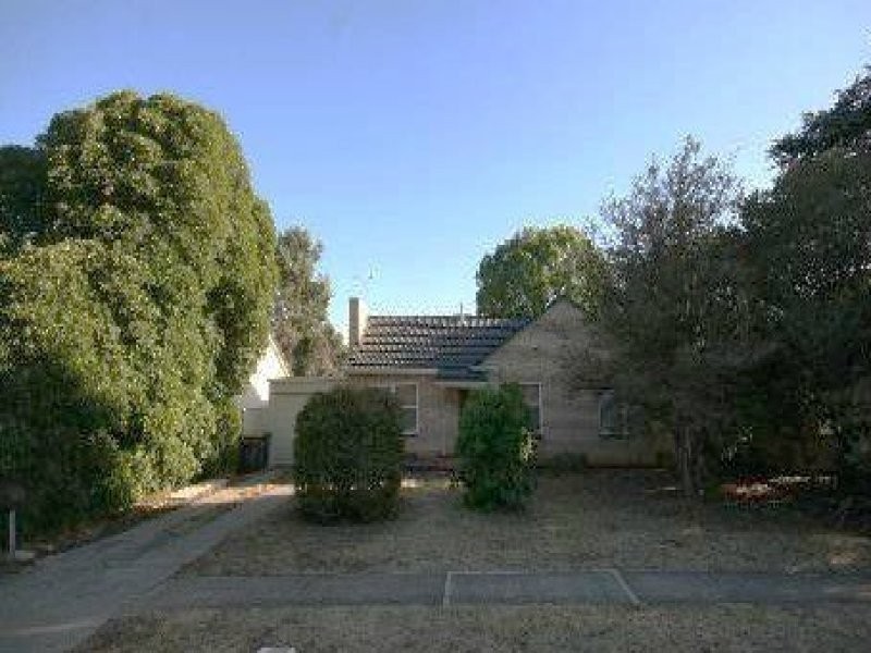 41 Dwyer Road, Oaklands Park SA 5046