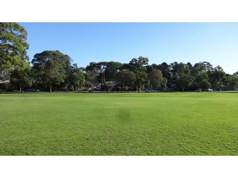 3 Torrens Avenue, Erindale SA 5066