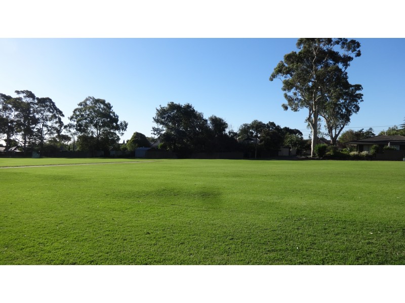 3 Torrens Avenue, Erindale SA 5066