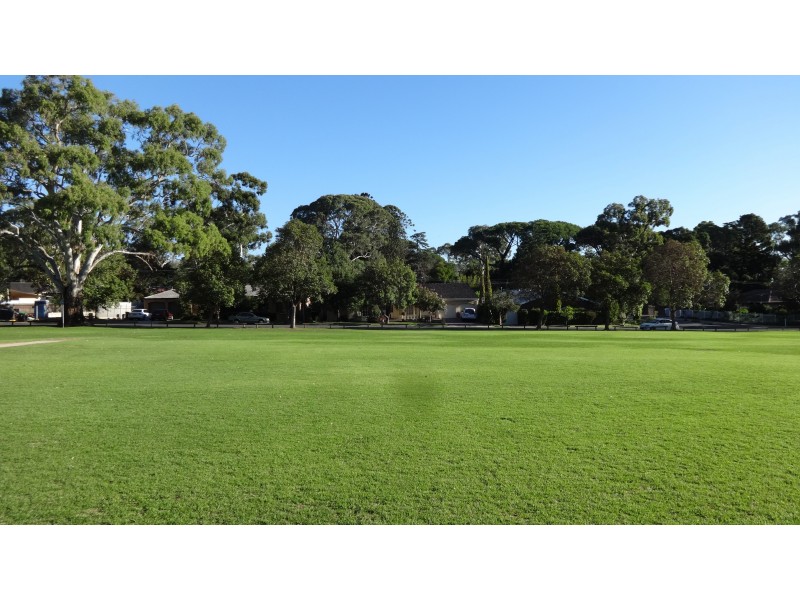 3 Torrens Avenue, Erindale SA 5066