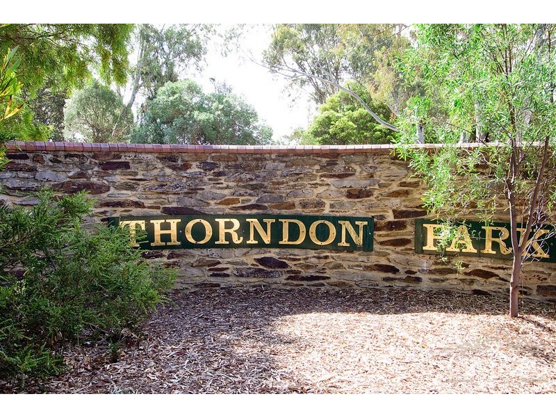 6 Angelo Street, Newton SA 5074