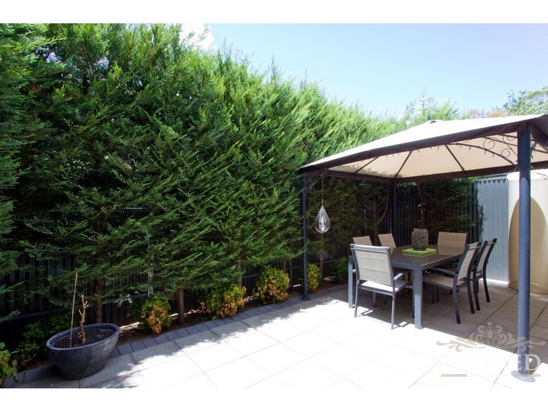 13 Scott Street, Parkside SA 5063