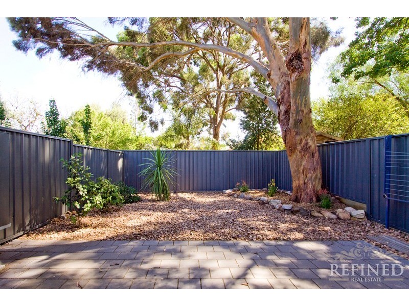 52 Robsart Street, Parkside SA 5063