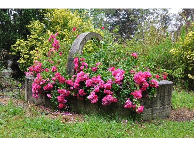 797 Onkaparinga Valley Road, Oakbank SA 5243