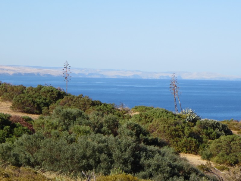 44 Maidencombe Drive, Moana SA 5169