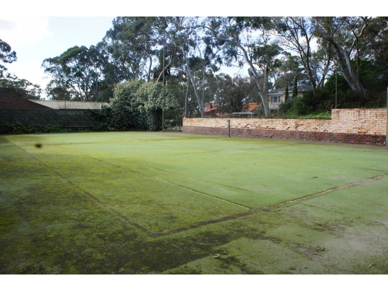 5 Morland Avenue, Stonyfell SA 5066