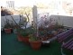 182/19 Tusculum Street, Potts Point NSW 2011