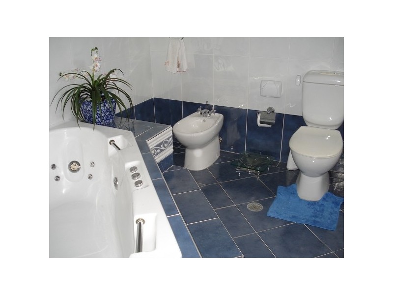 70 Mill Hill Road, Bondi Junction NSW 2022