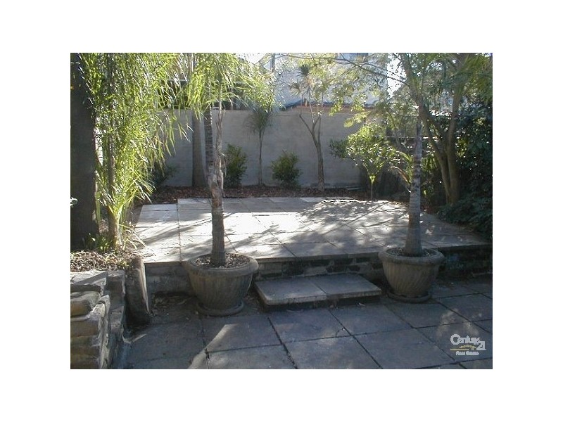 37 Cox Avenue, Bondi NSW 2026