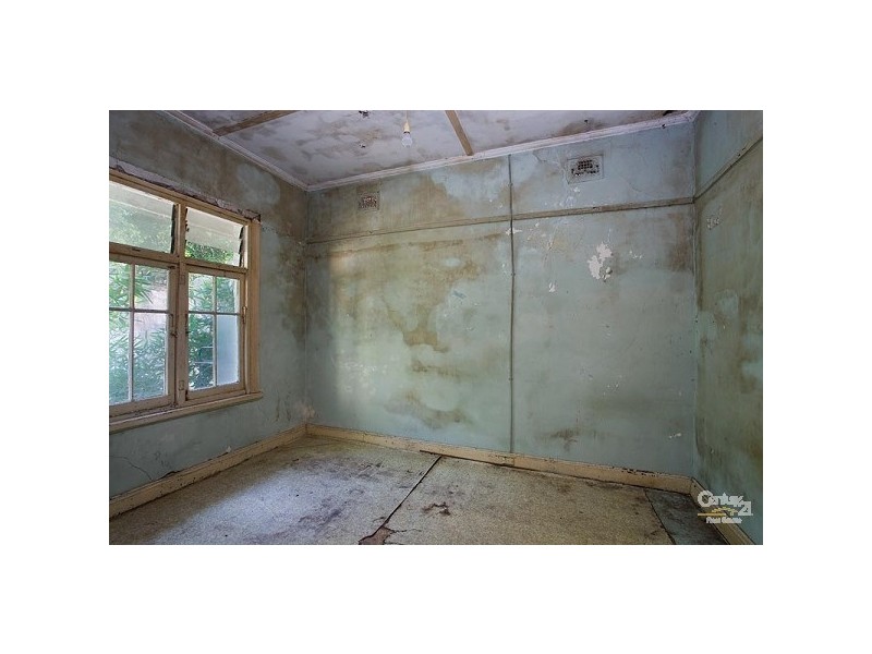 14 Harris Street, Paddington NSW 2021