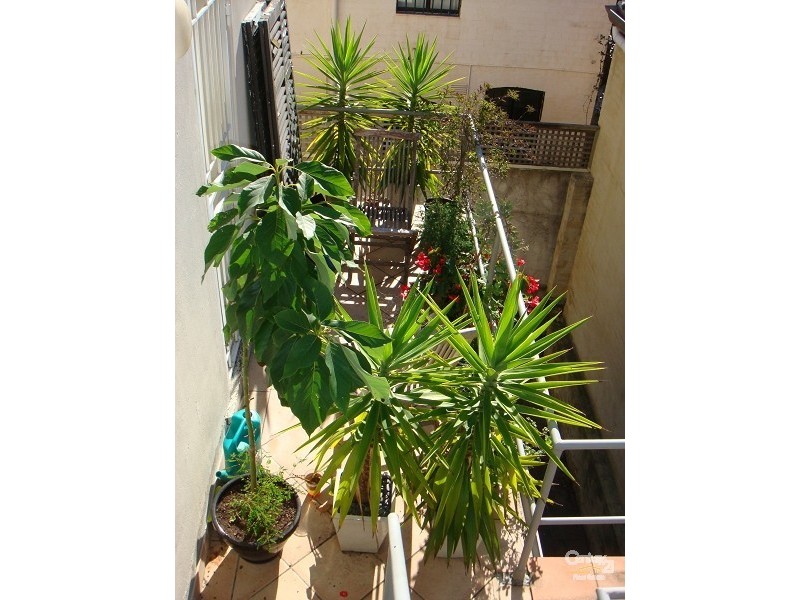 2/238 Forbes Street, Darlinghurst NSW 2010