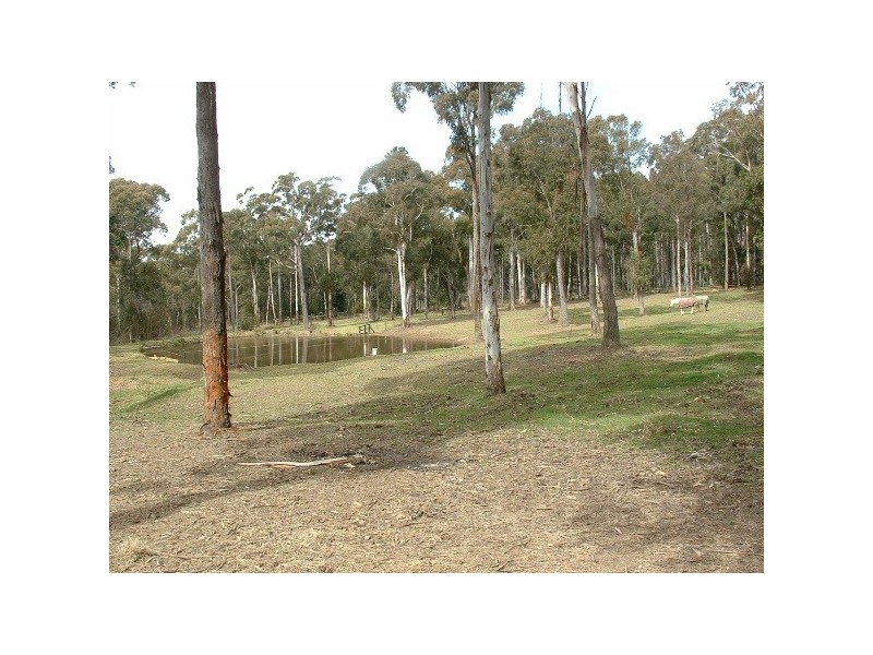Lot 5a Greenhills Road, Werai NSW 2577