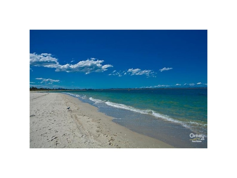 147 The Grand Parade, Monterey NSW 2217