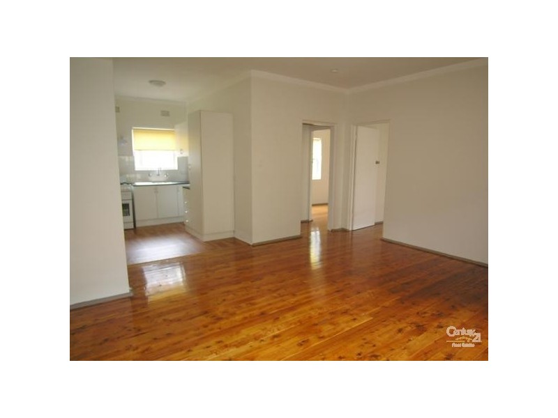 17 Warialda Street, Kogarah NSW 2217