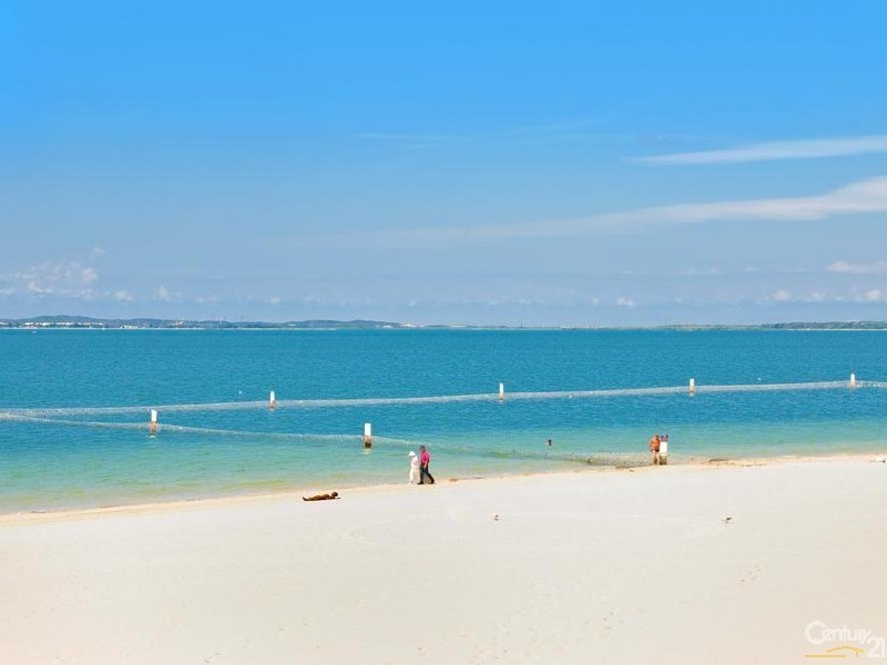 54-58 Solander Street, Monterey NSW 2217