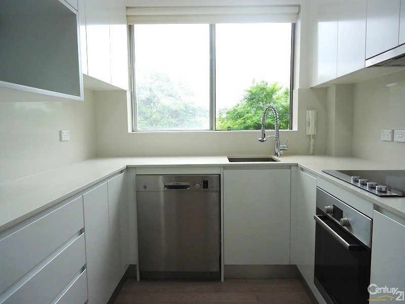 41 Baxter Avenue, Kogarah NSW 2217