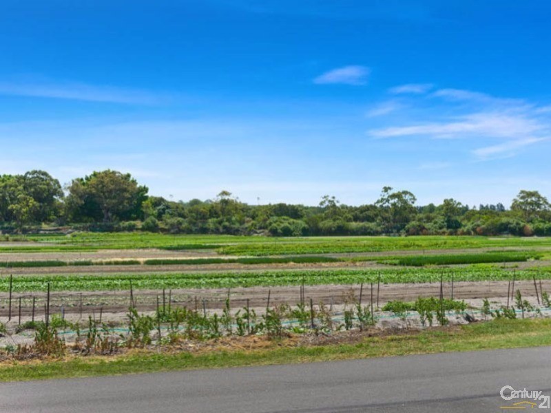 3 Occupation Road, Kyeemagh NSW 2216