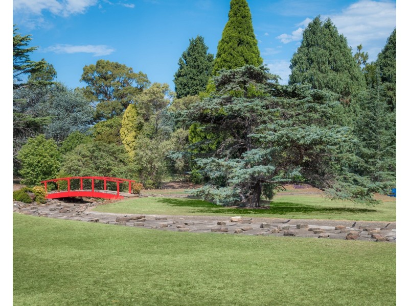 8 Bedford Place, Rockdale NSW 2216