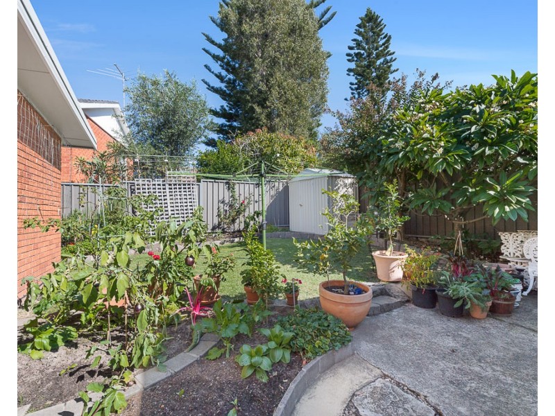 8 Bedford Place, Rockdale NSW 2216