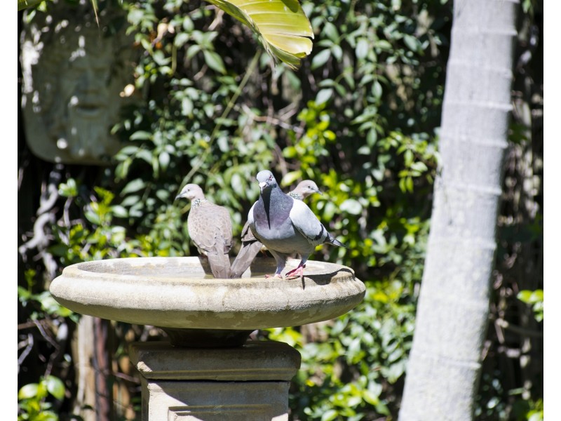 64 Bruce Street, Brighton-le-sands NSW 2216