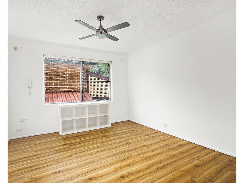 3 Rayner Street, Lilyfield NSW 2040