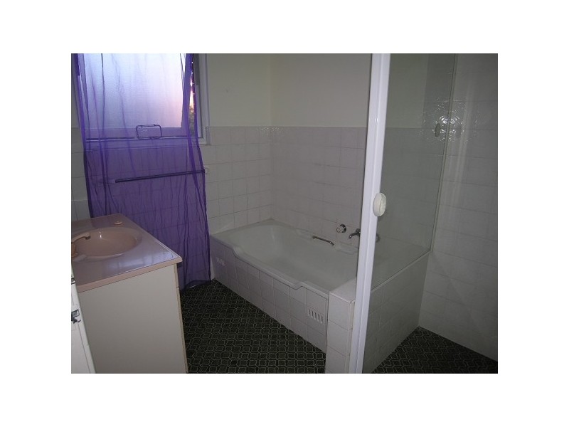 62 Solander Street, Monterey NSW 2217