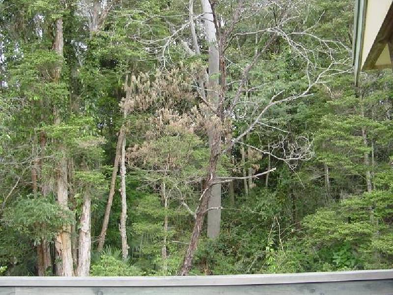 42 Digby Road, Erina NSW 2250