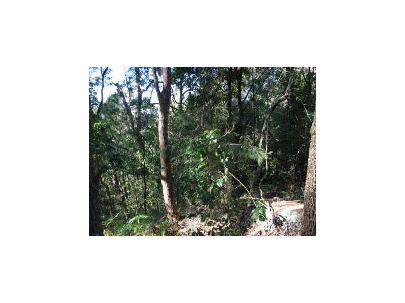 14 Denver Close, East Gosford NSW 2250