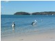 Salamander Bay NSW 2317