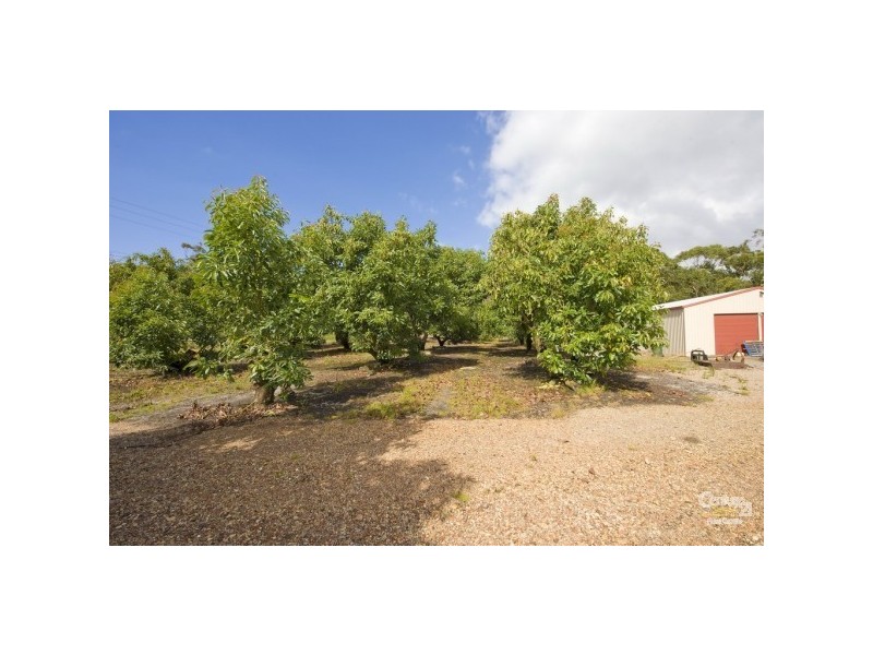 3321 Nelson Bay Road, Bobs Farm NSW 2316