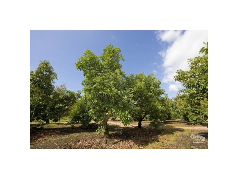 3321 Nelson Bay Road, Bobs Farm NSW 2316