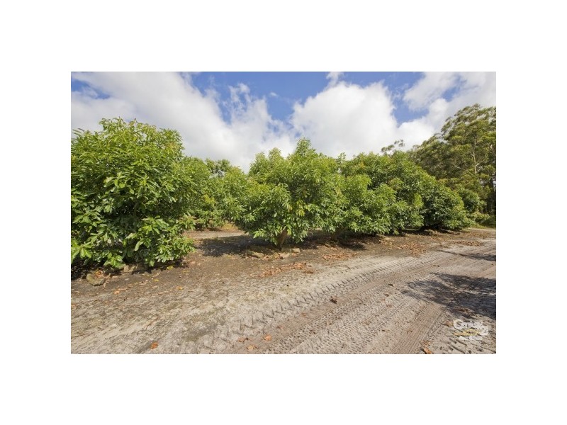 3321 Nelson Bay Road, Bobs Farm NSW 2316