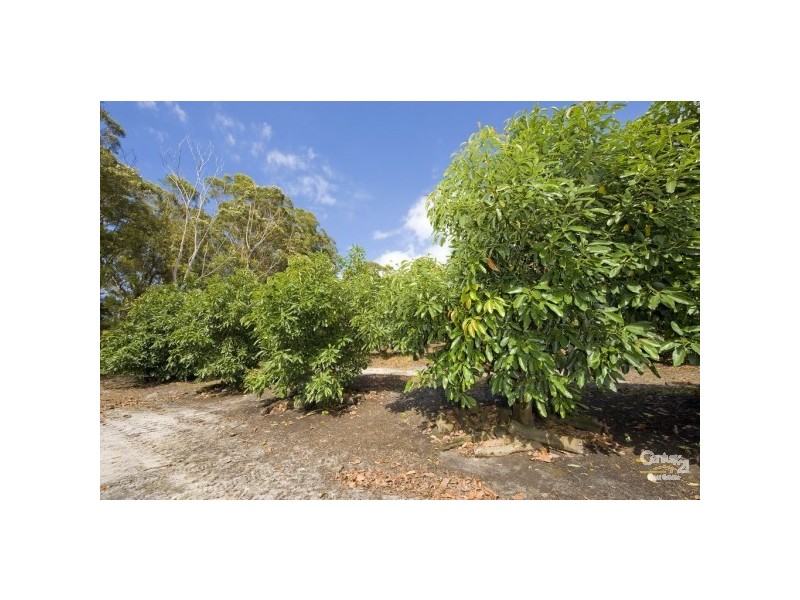 3321 Nelson Bay Road, Bobs Farm NSW 2316