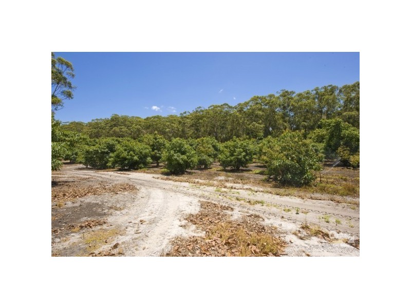 3321 Nelson Bay Road, Bobs Farm NSW 2316