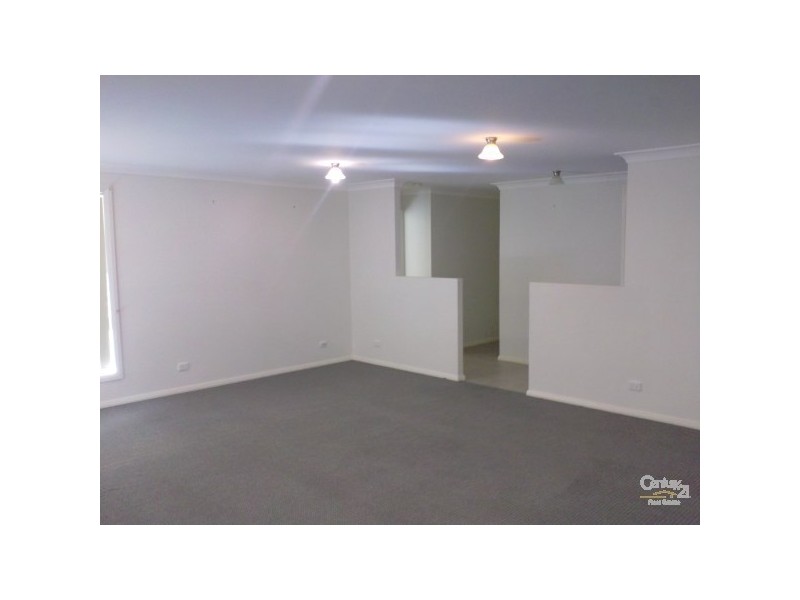 55 Carnarvon Circuit, East Maitland NSW 2323