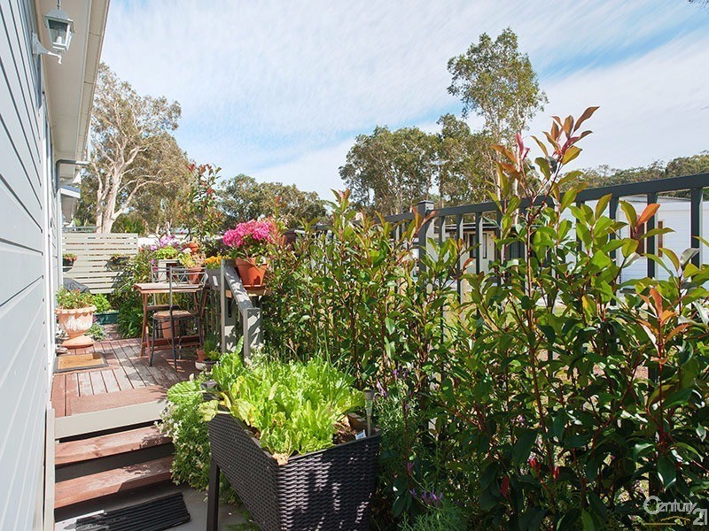 59/554 Gan Gan Road, One Mile NSW 2316
