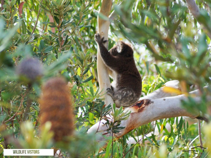 23 One Mile Close, Boat Harbour NSW 2316