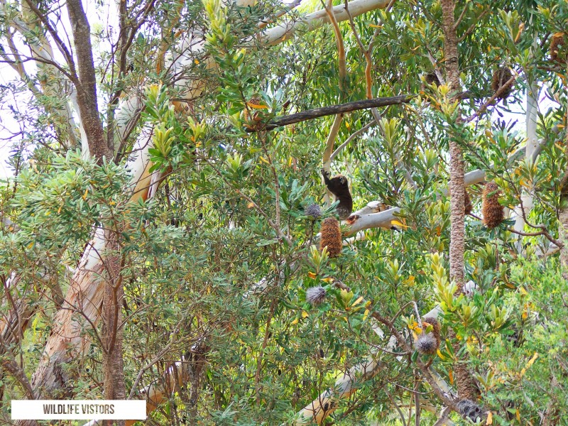 23 One Mile Close, Boat Harbour NSW 2316