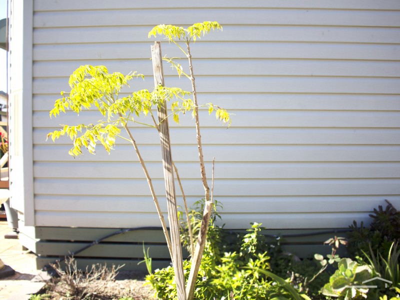 51/4320  Nelson Bay Road, Anna Bay NSW 2316