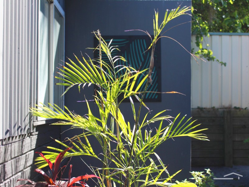 16 Davidson Street, Anna Bay NSW 2316