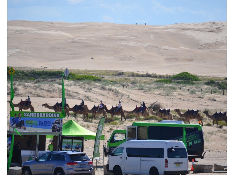 58 Gan Gan Road, Anna Bay NSW 2316