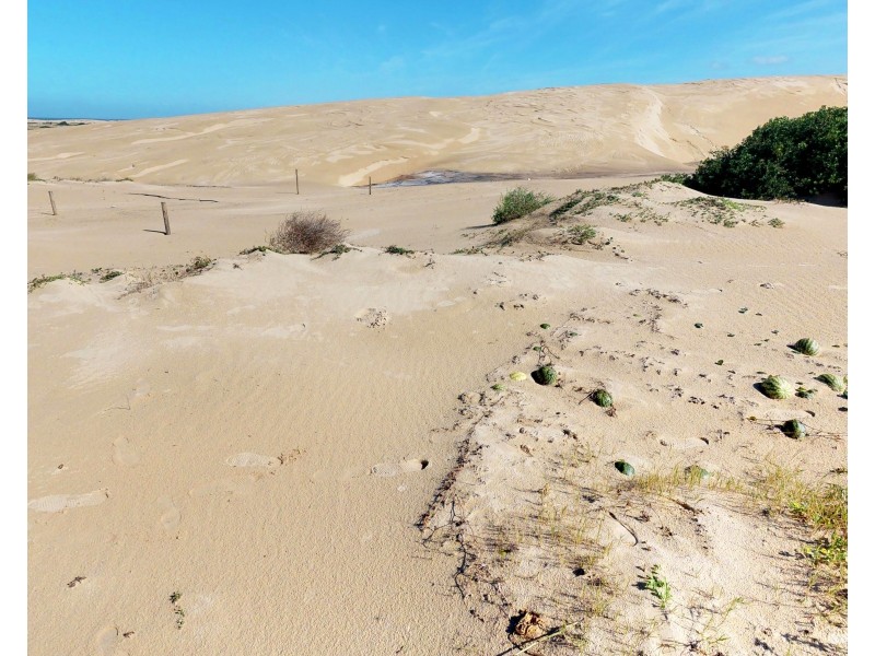 58 Gan Gan Road, Anna Bay NSW 2316