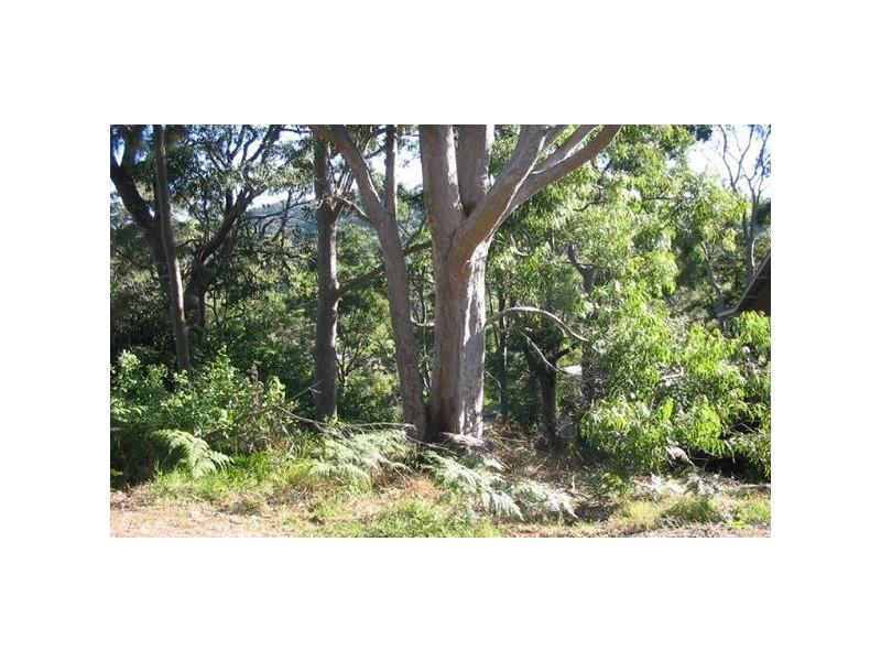 Nelson Bay NSW 2315