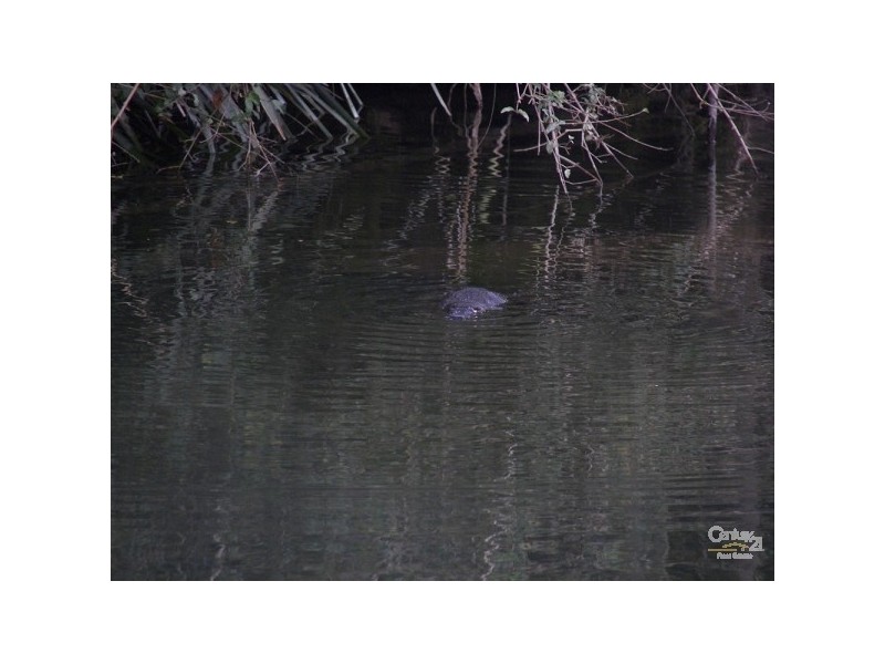 63 Allyn River Road, Gresford NSW 2311