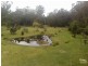 61 Abundance Drive, Medowie NSW 2318