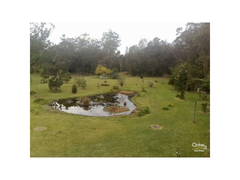 61 Abundance Drive, Medowie NSW 2318
