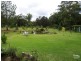 61 Abundance Drive, Medowie NSW 2318