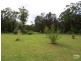 61 Abundance Drive, Medowie NSW 2318