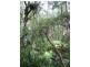 Rainbow Flat NSW 2430